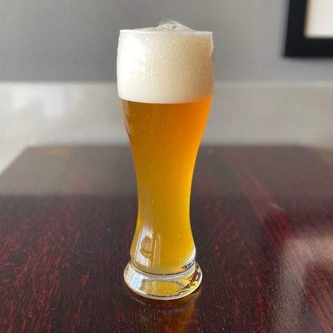 beer in a tall pilsner glass