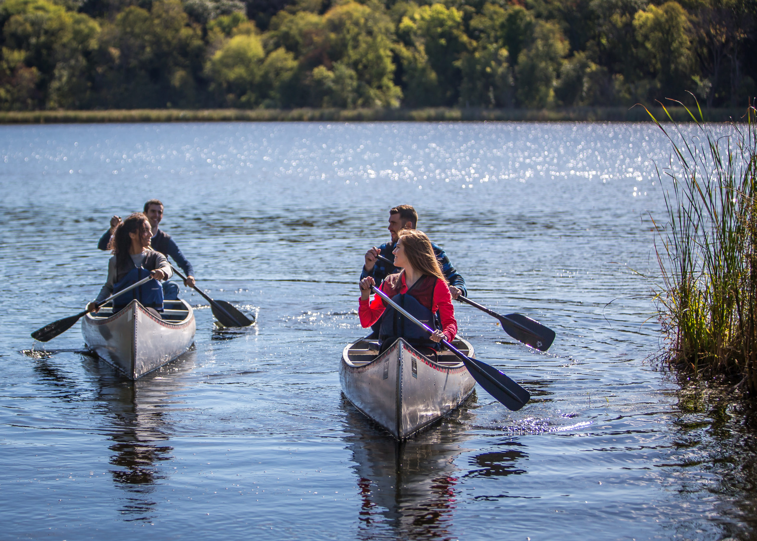 two couples canoeing on Westwood Lake