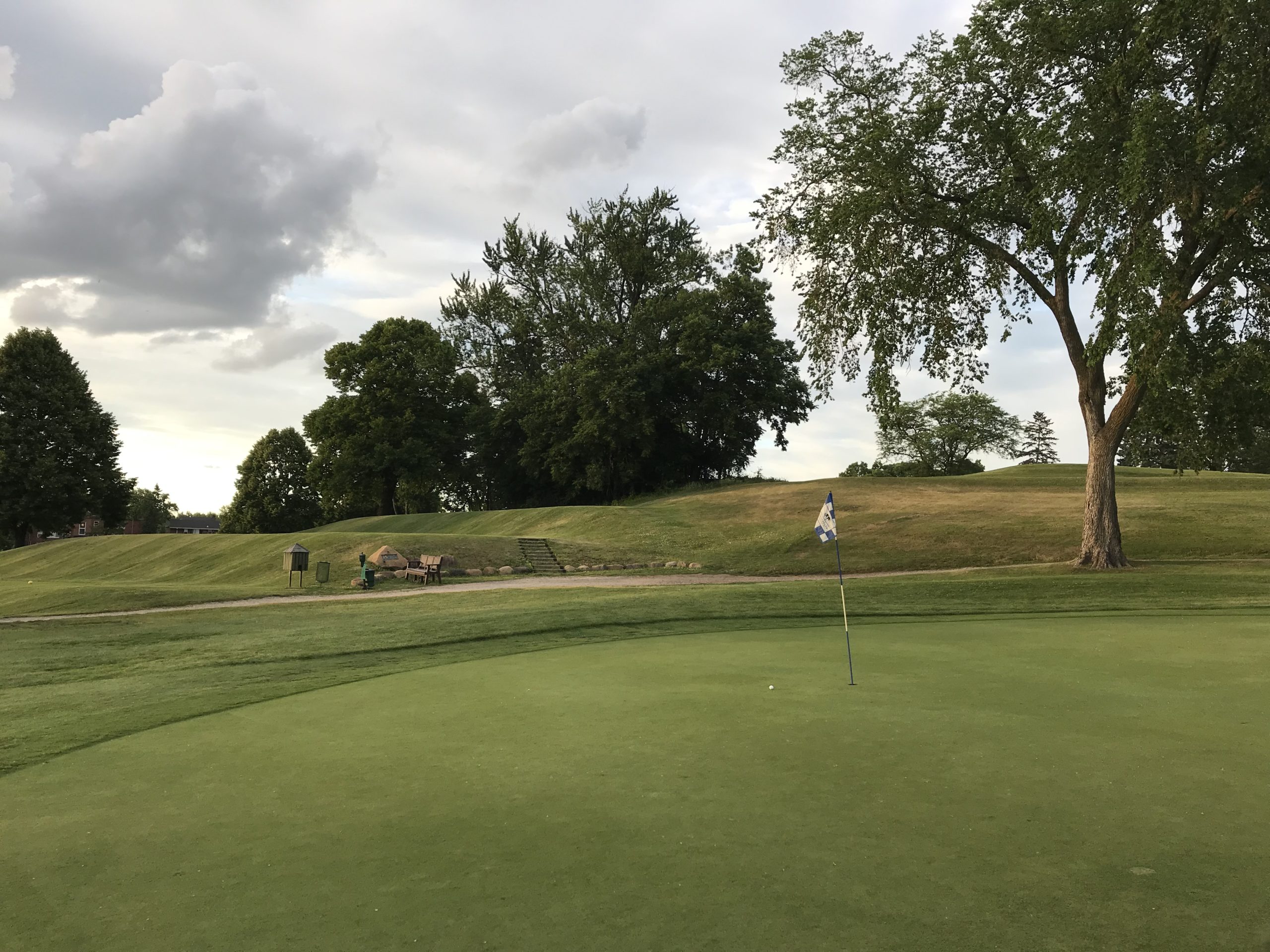 a green at Meadowbrook