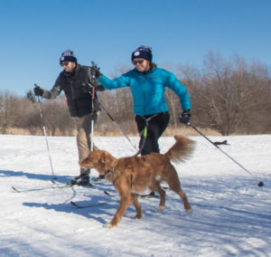 couple skijoring with their dog