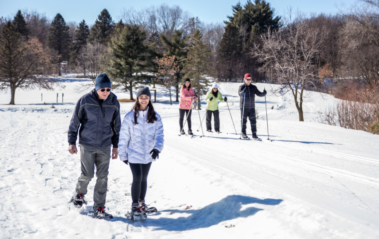 snowshoers and cross-country skiers