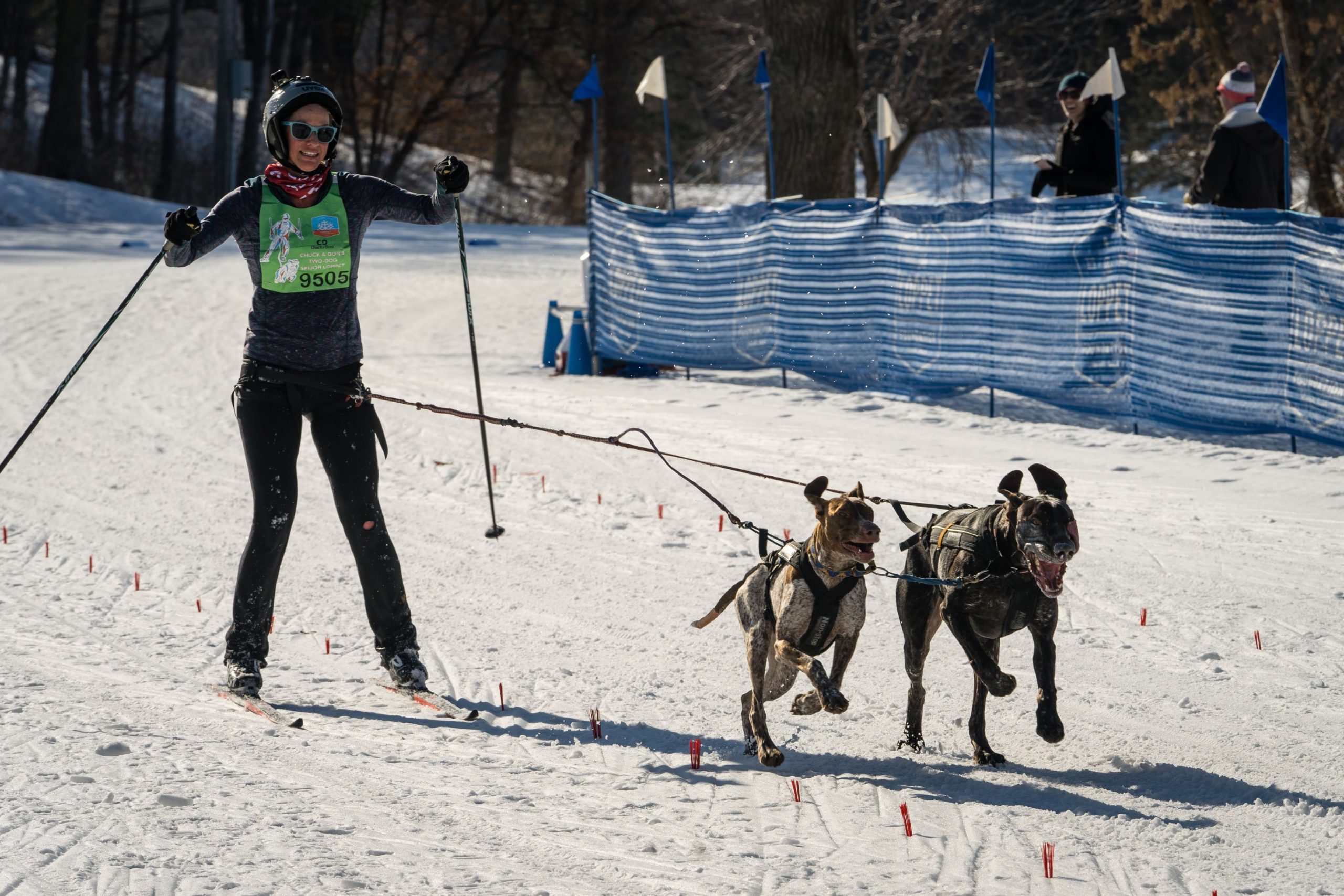 woman competing in the skijoring loppet