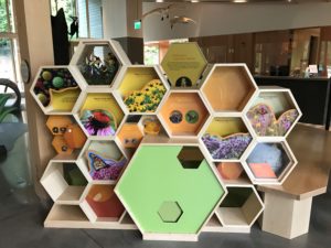 bee exhibit at Westwood Hills Nature Center
