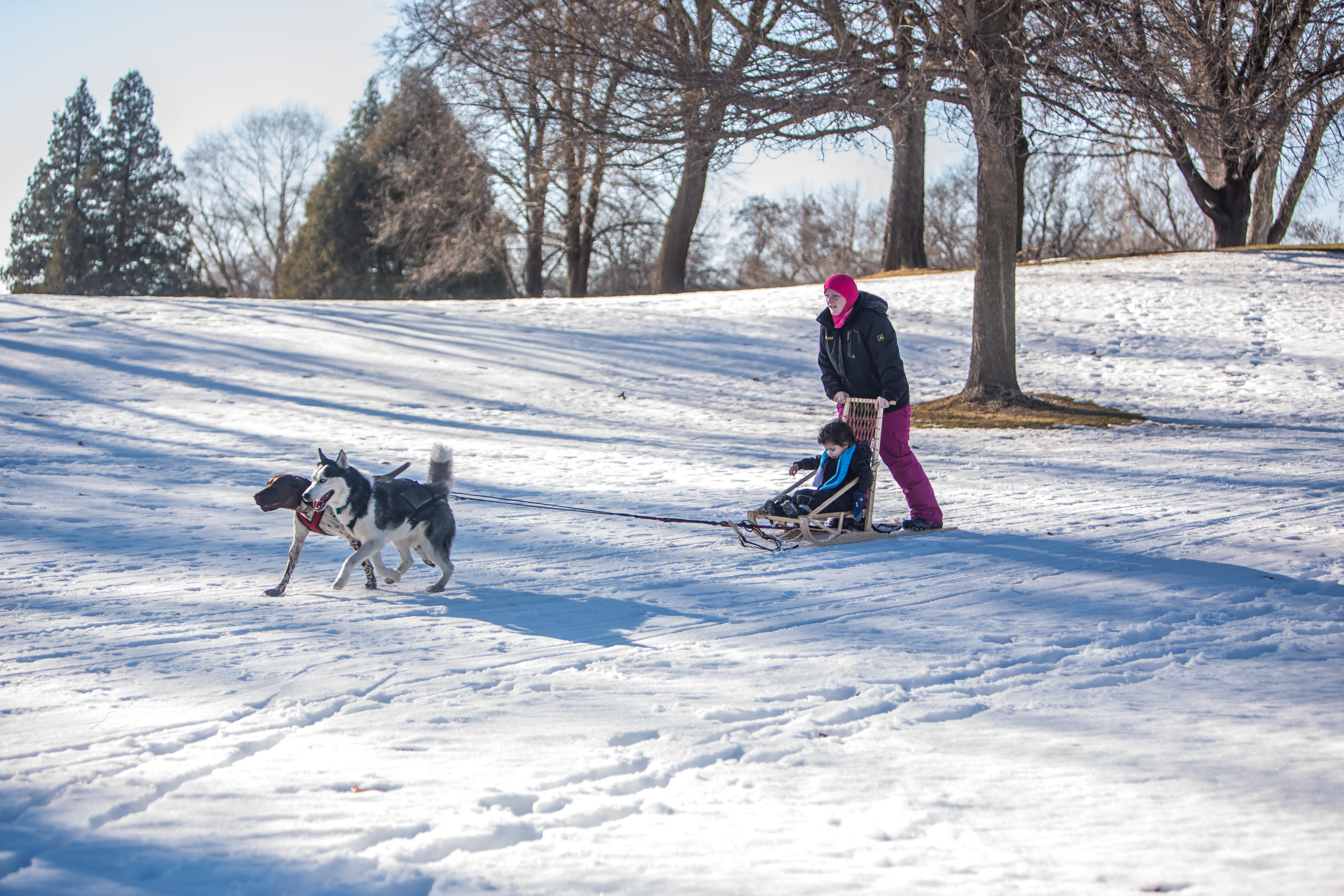 mom dog-sledding with young child at Brookview