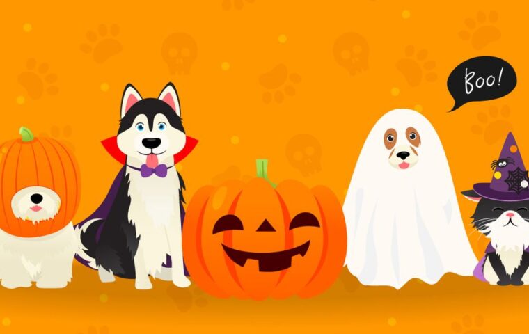 Drawing of cats and dogs wearing costumes for the Howl-o-ween event
